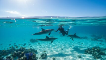 Dance of the Dolphins in Hurghada – 2 Days Overnight Stay